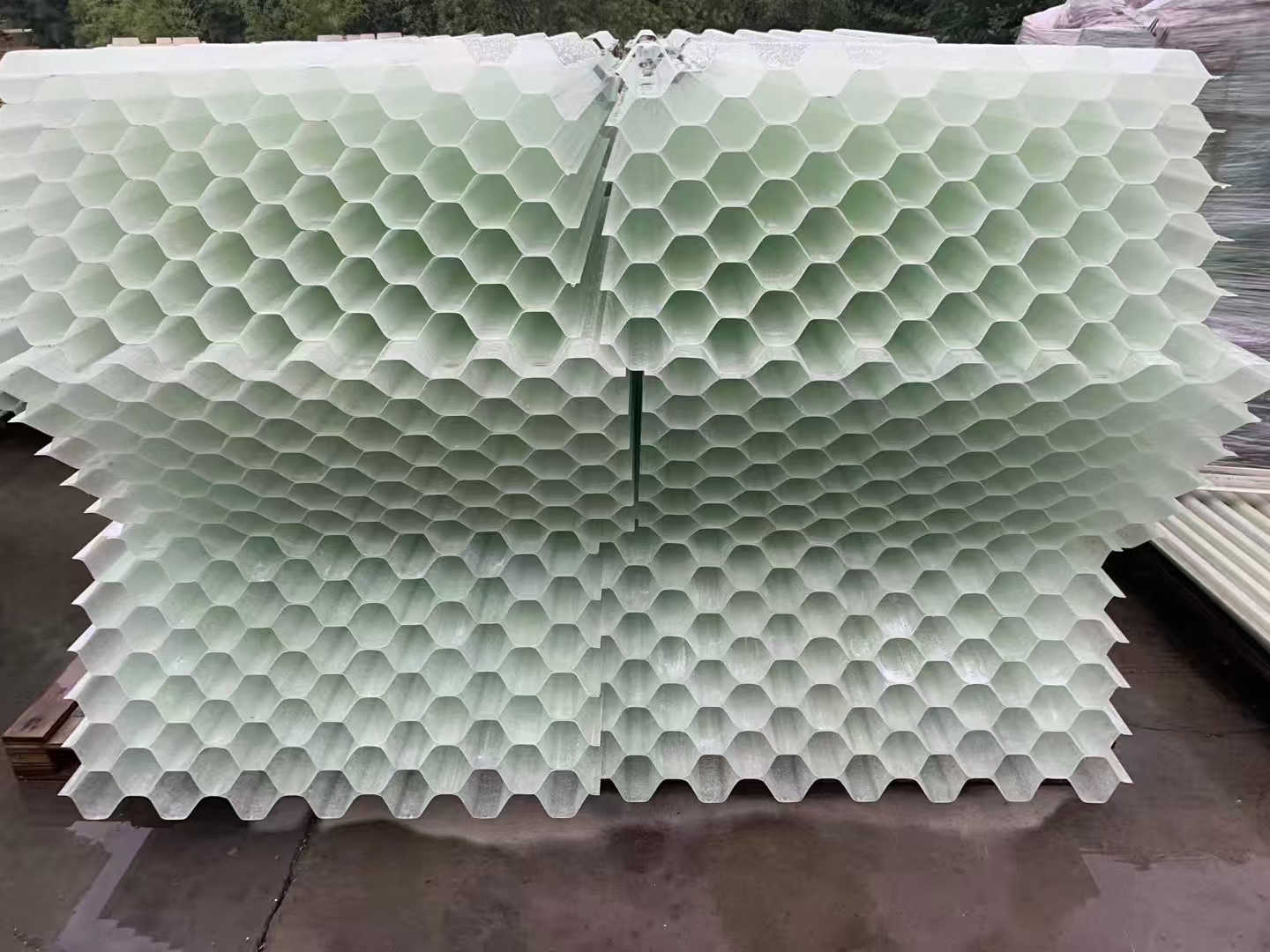 б